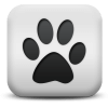 Captcha image 2058